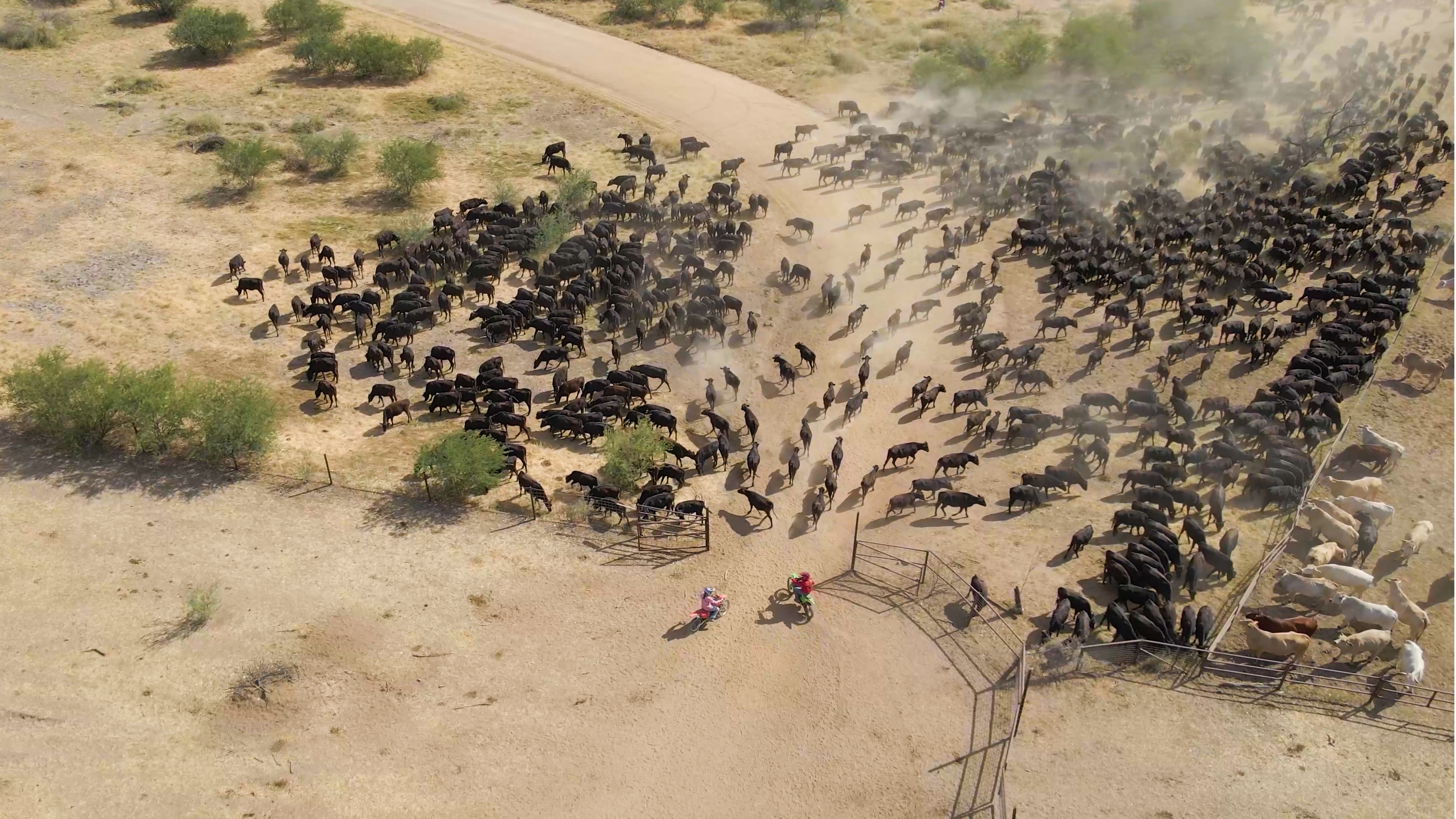 Aerial Drone Footage